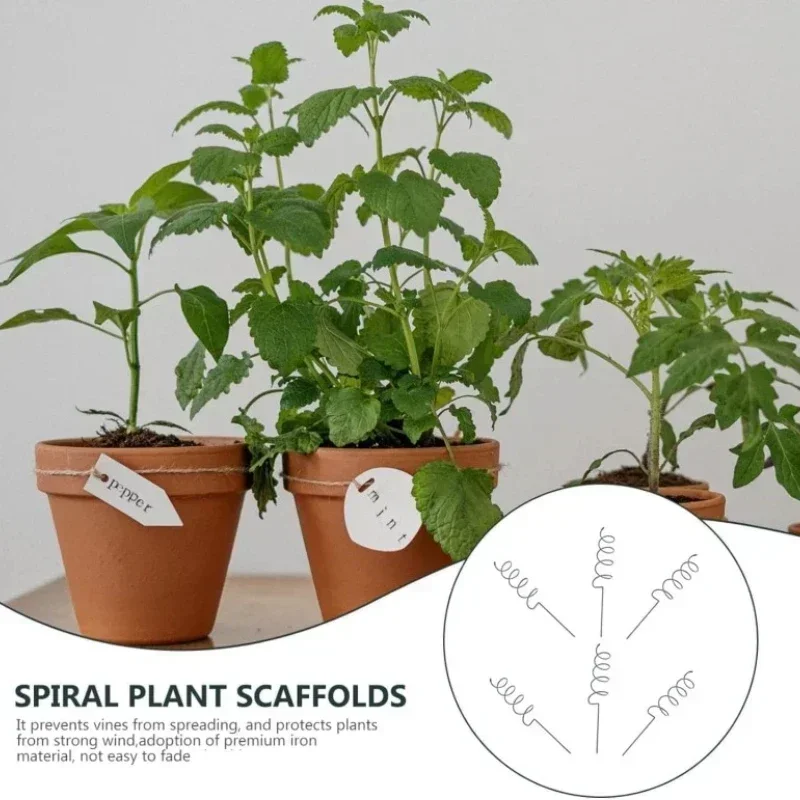 Climbing Plant Support Stake S - Bonsai Garden Stand review and price
