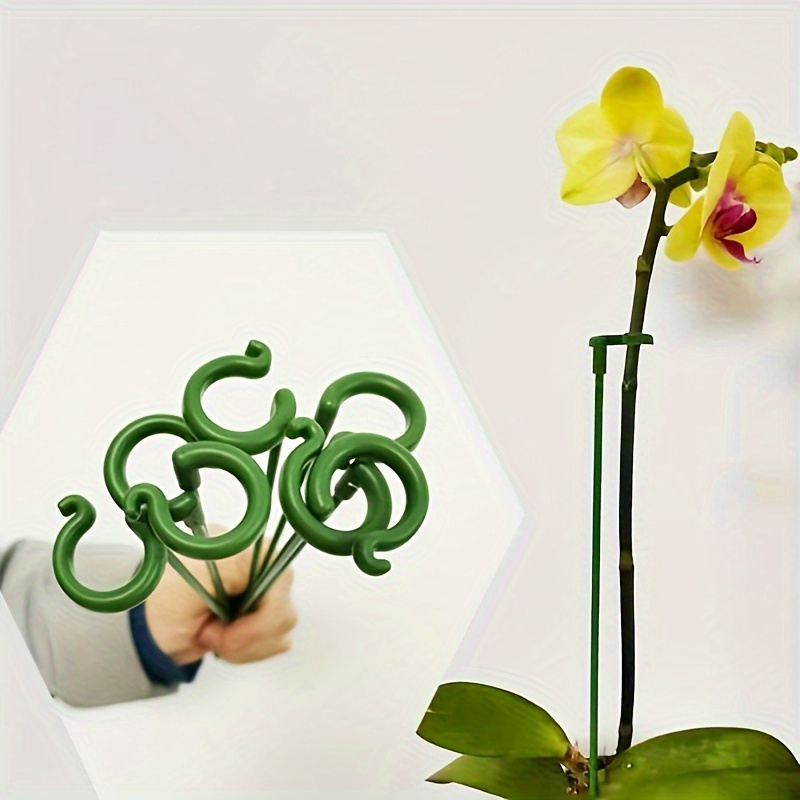 6PCS Green Plastic Plant Suppo - Bonsai Garden Stand review and price