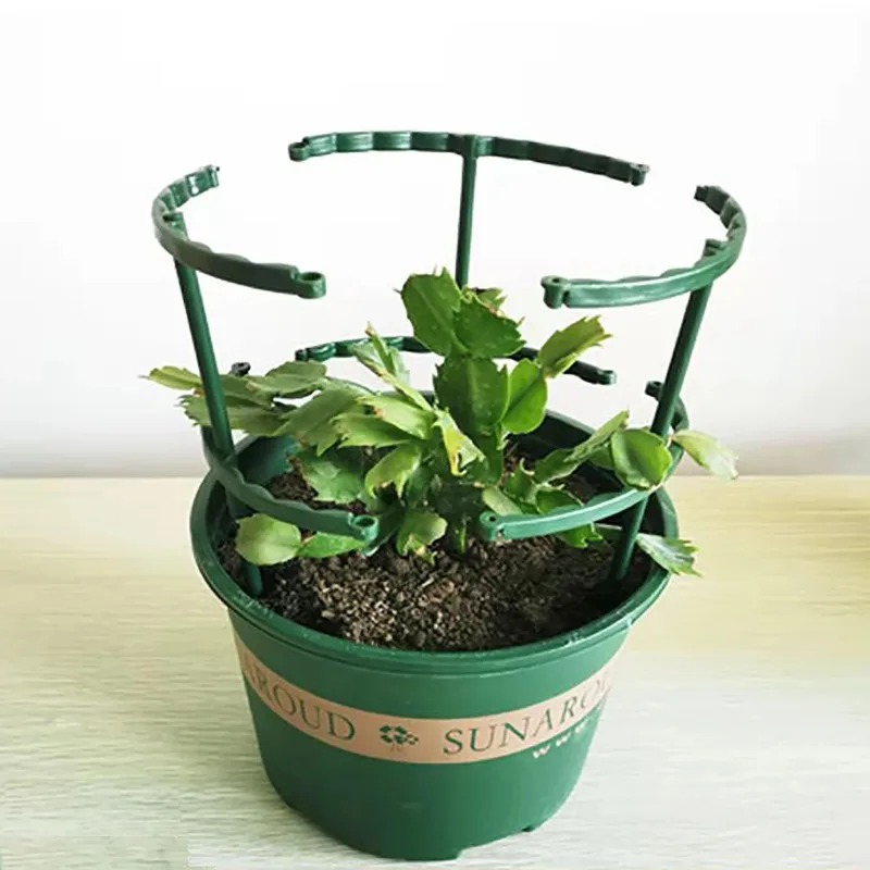 4PCS Plastic Plant Support Pil - Bonsai Garden Stand review and price