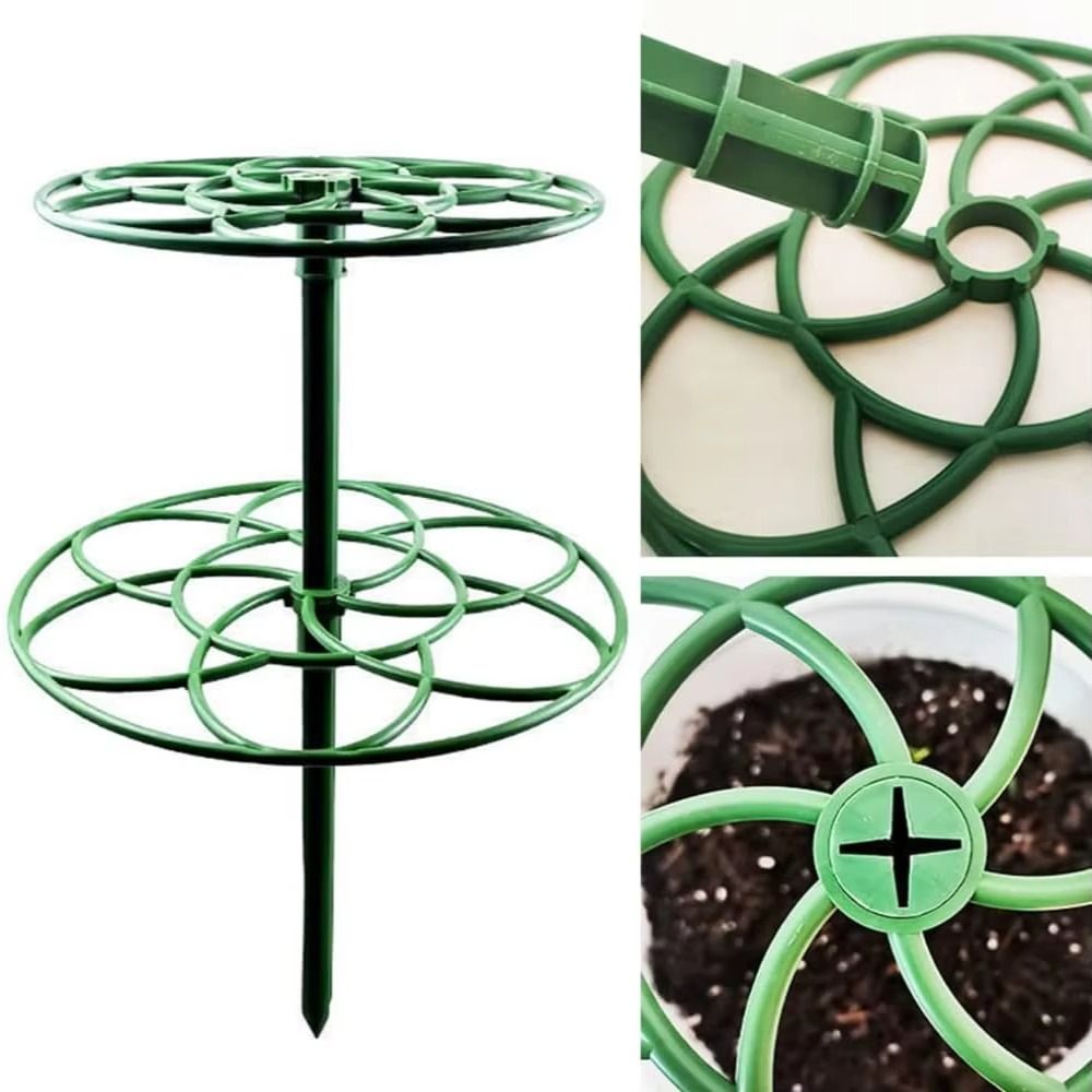 New S/M/L Bonsai Climbing Fram - Bonsai Garden Stand review and price