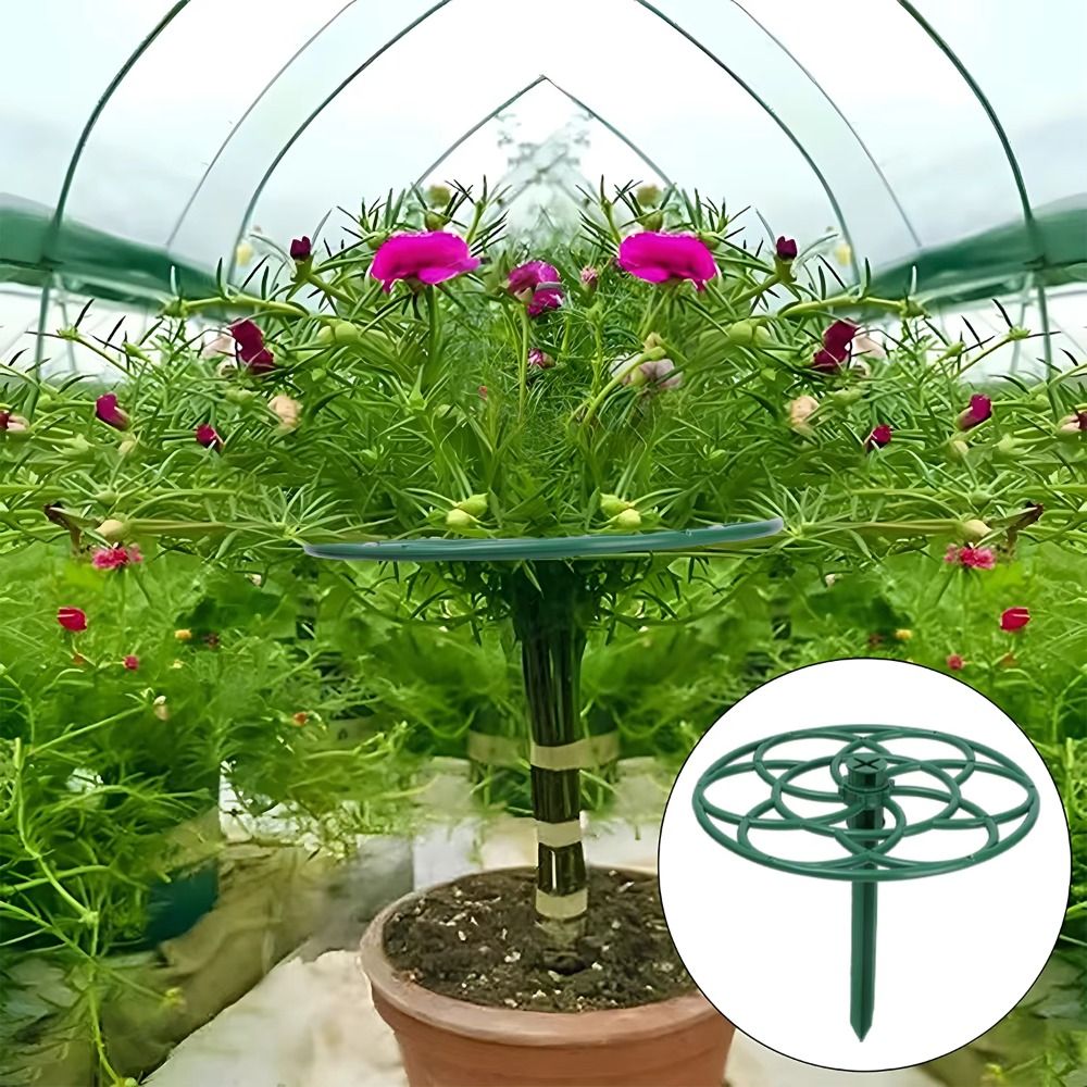New S/M/L Bonsai Climbing Fram - Bonsai Garden Stand review and price