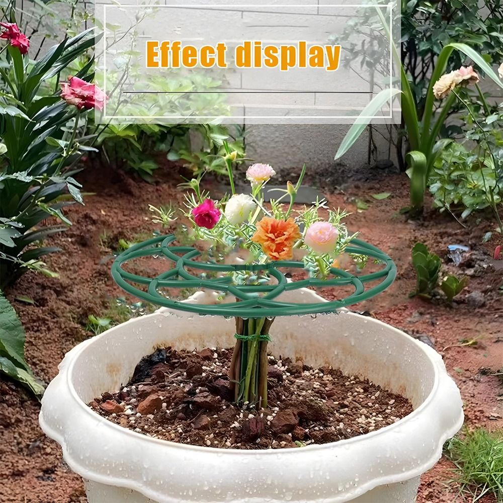 S/M/L Plastic Garden Stackable - Bonsai Garden Stand review and price