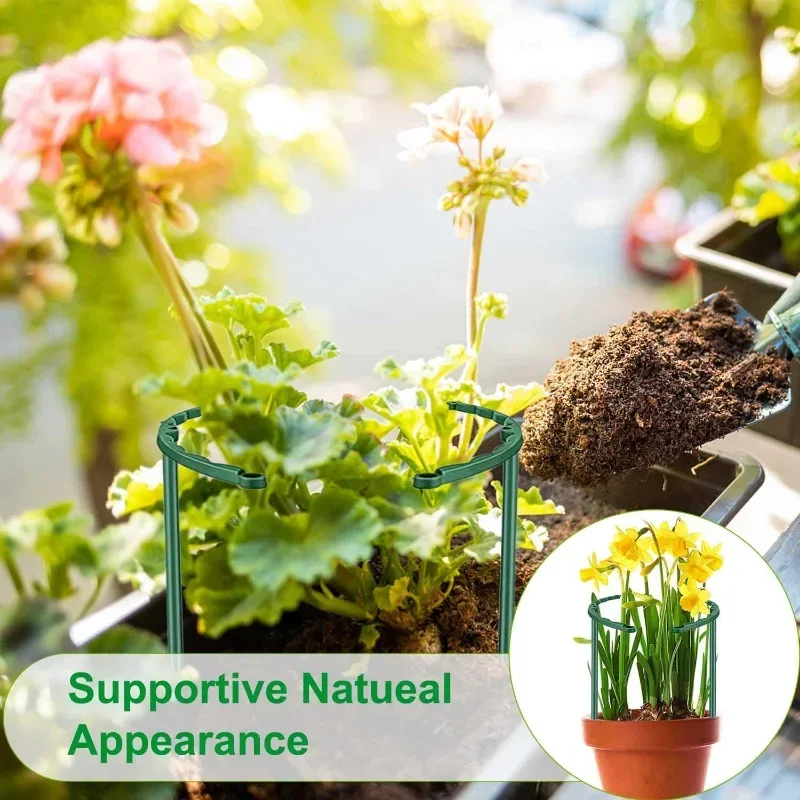 Garden Plant Support Cage Plie - Bonsai Garden Stand review and price