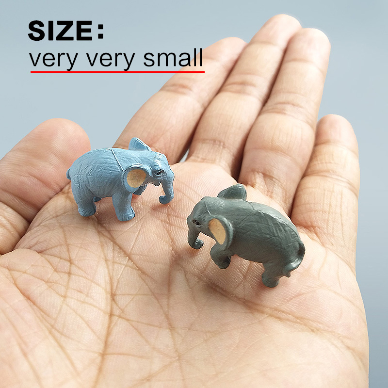 10Pcs Small Elephant Bonsai Fi - Japan Bonsai Garden review and price