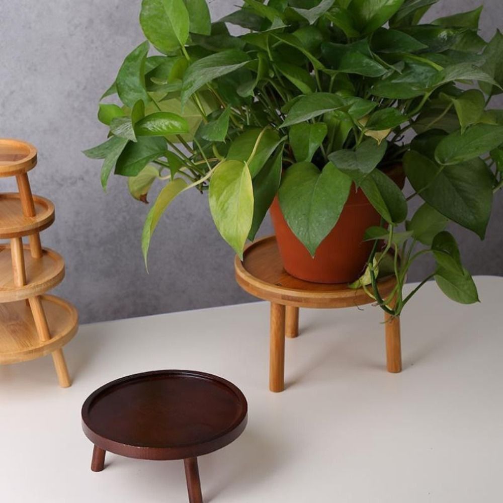 Solid Creative Succulent Flowe - Bonsai Garden Stand review and price