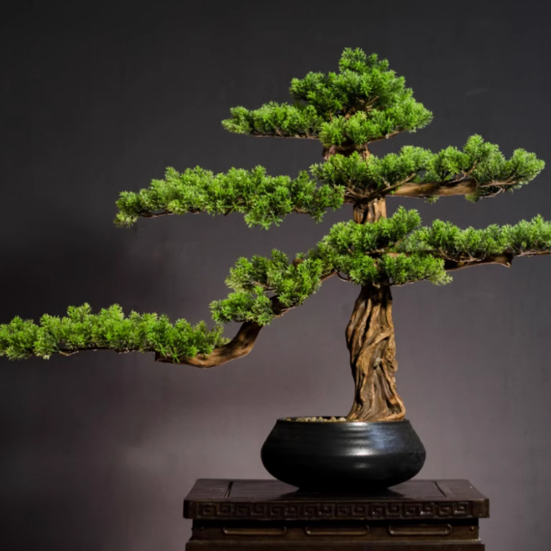 Home Welcoming Pine Ornaments  - Bonsai Garden Entrance review and price