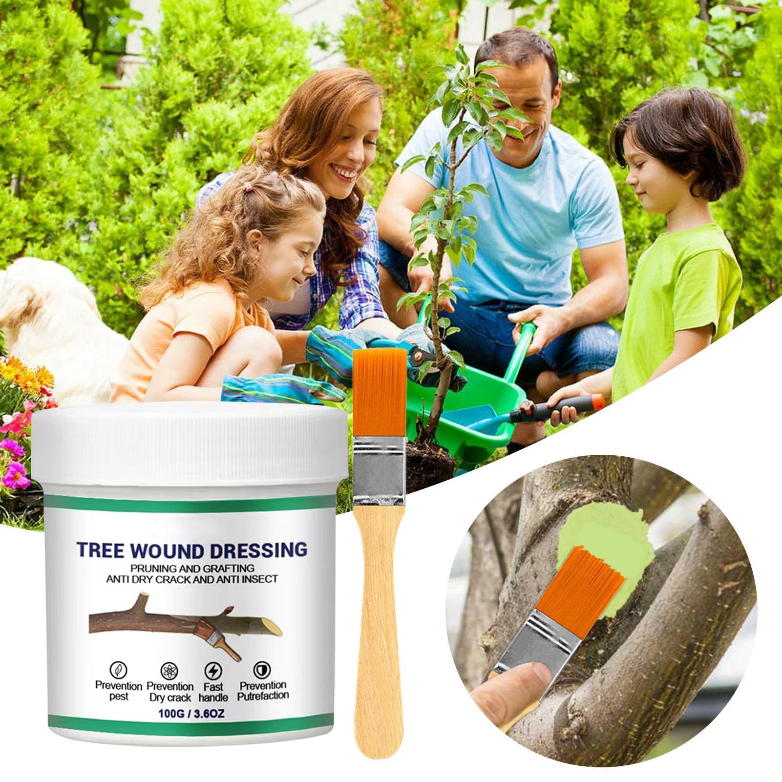 100g Tree Wound Pruning Sealer - Us Bonsai Garden review and price
